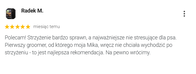 psi fryzjer, groomer, salon pielęgnacji psów, strzyżenie psów, fryzjer dla psów, pielęgnacja psów, Smolec